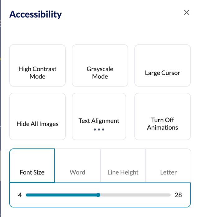 Панель «Accessibility» на сайті skill4ever.com: висока контрастність, відтінки сірого, великий курсор, приховати зображення, вимкнути анімації, розмір шрифту